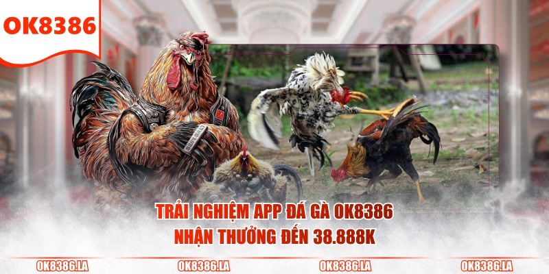 Trải nghiệm app đá gà OK8386 nhận thưởng đến 38.888K